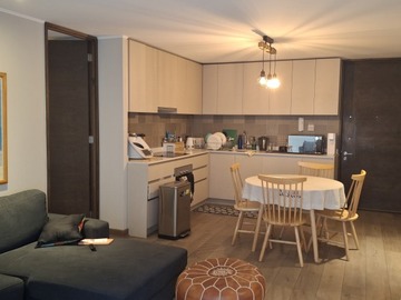 Arriendo Mensual / Departamento / Providencia