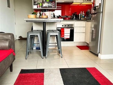 Arriendo Mensual / Departamento / Providencia