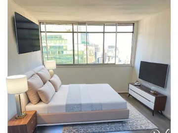 Arriendo Mensual / Departamento / Providencia