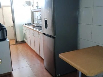 Arriendo Mensual / Departamento / Providencia