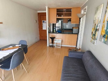 Arriendo Mensual / Departamento / Providencia