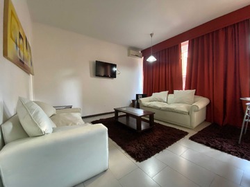 Arriendo Mensual / Departamento / Providencia