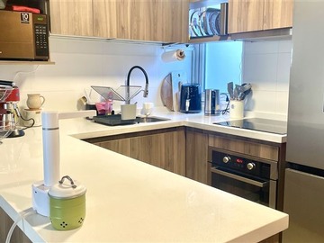 Arriendo Mensual / Departamento / Providencia