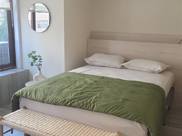 Arriendo Mensual / Departamento / Providencia