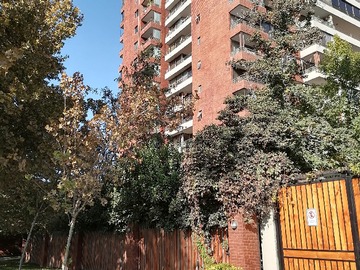 Arriendo Mensual / Departamento / Providencia