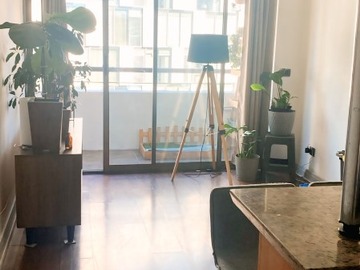 Arriendo Mensual / Departamento / Providencia