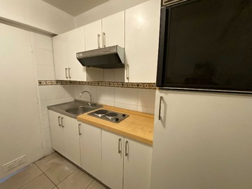 Arriendo Mensual / Departamento / Providencia