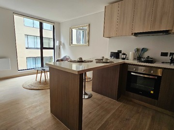 Arriendo Mensual / Departamento / Providencia