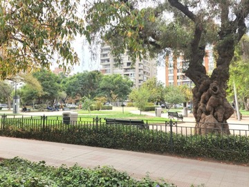 Arriendo Mensual / Departamento / Providencia