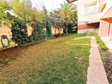 Imagen 19