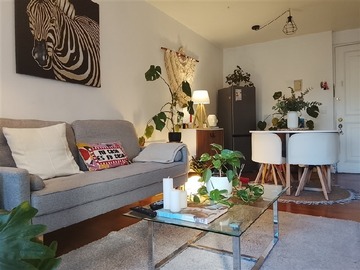 Arriendo Mensual / Departamento / Providencia