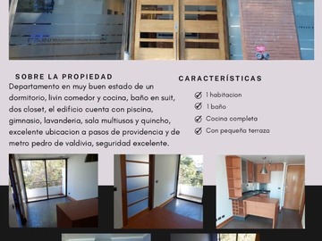 Arriendo Mensual / Departamento / Providencia