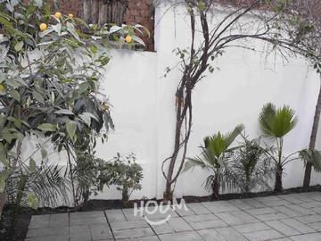 Imagen 10