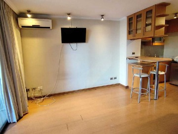 Arriendo Mensual / Departamento / Providencia