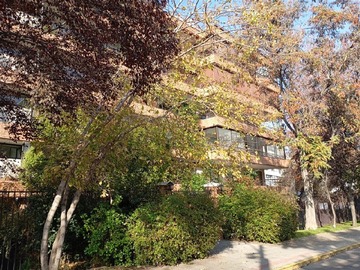 Arriendo Mensual / Departamento / Providencia