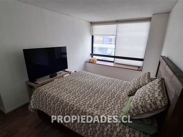 Imagen 13