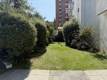 Imagen 19