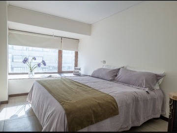 Arriendo Mensual / Departamento / Providencia