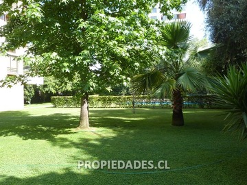 Imagen 17