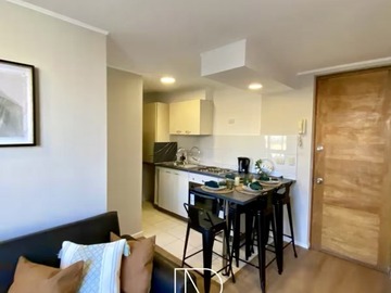 Arriendo Mensual / Departamento / Providencia