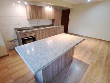Arriendo Mensual / Departamento / Providencia