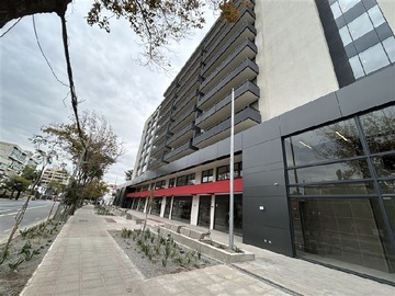 Imagen 7