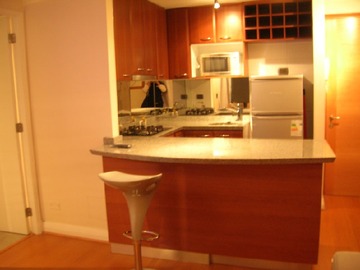 Arriendo Mensual / Departamento / Providencia