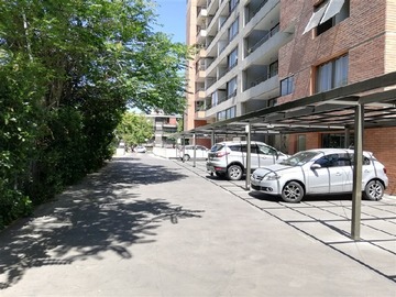 Imagen 15