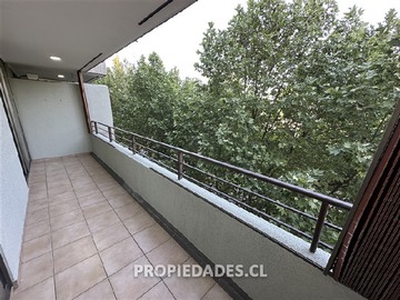 Imagen 20