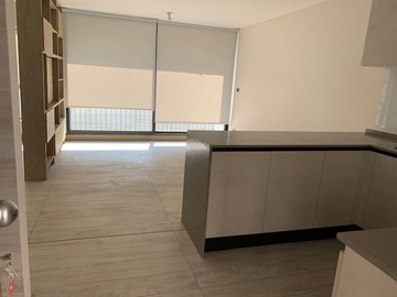 Arriendo Mensual / Departamento / Providencia