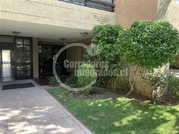 Imagen 20