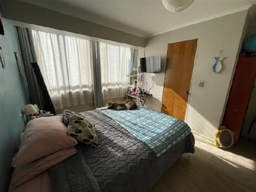 Imagen 6