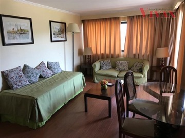 Arriendo Mensual / Departamento / Providencia