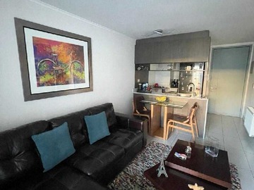 Arriendo Mensual / Departamento / Providencia