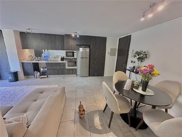 Arriendo Mensual / Departamento / Providencia