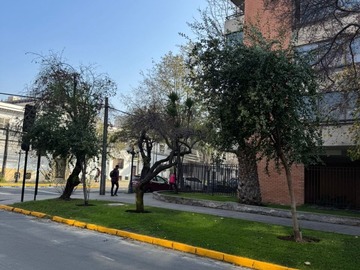 Imagen 11