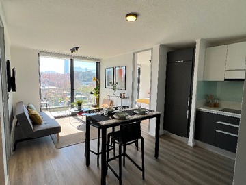 Arriendo Mensual / Departamento / Providencia