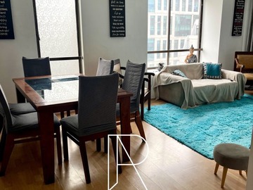 Arriendo Mensual / Departamento / Providencia