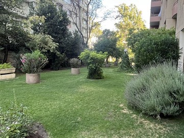 Imagen 20