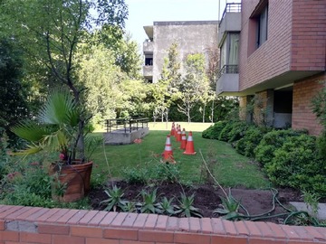 Imagen 8