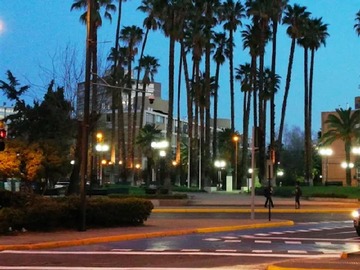 Arriendo Mensual / Departamento / Providencia