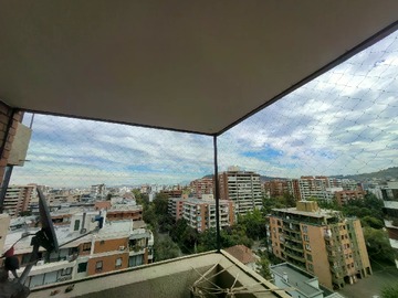 Imagen 6
