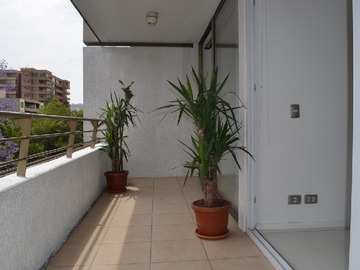 Imagen 23