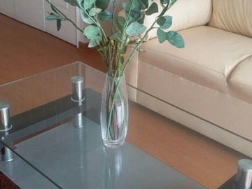 Arriendo Mensual / Departamento / Providencia