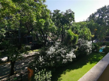 Arriendo Mensual / Departamento / Providencia