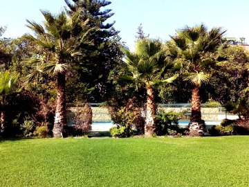Arriendo Mensual / Departamento / Providencia