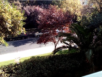 Imagen 9