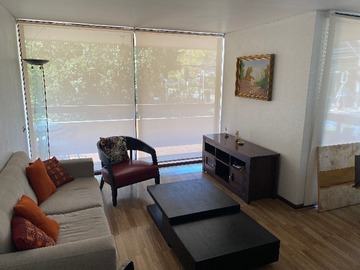 Arriendo Mensual / Departamento / Providencia