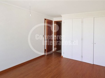 Imagen 7