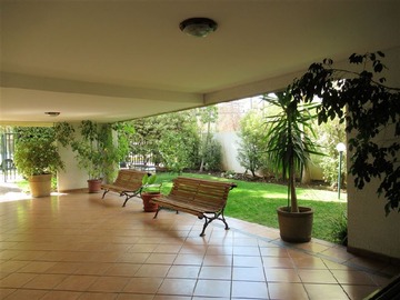 Imagen 23